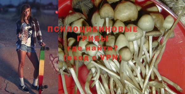 spice Алексин